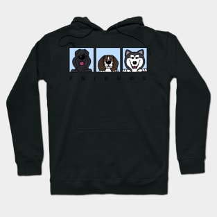 Friends Hoodie